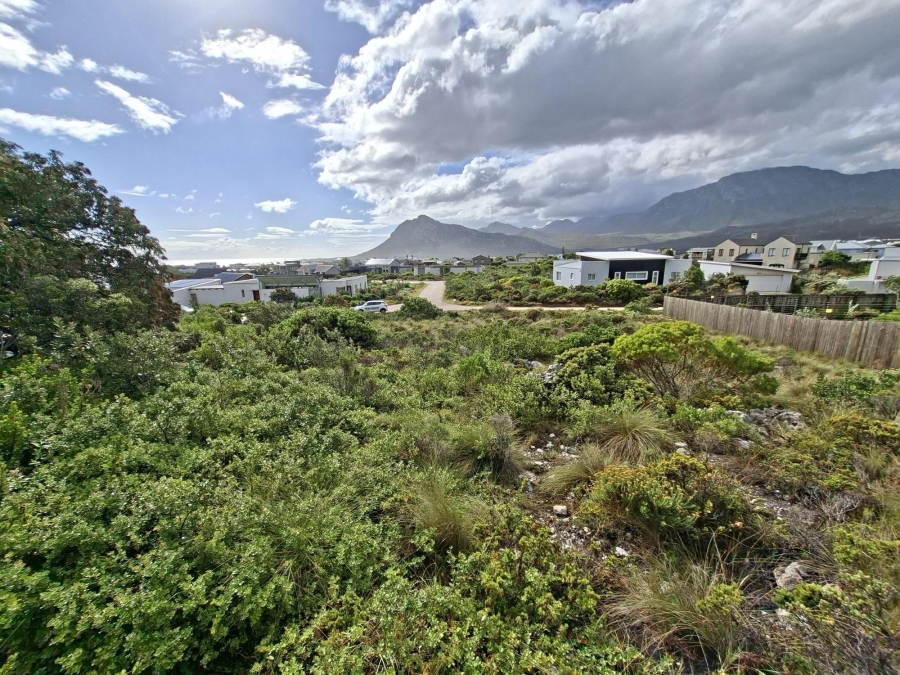 0 Bedroom Property for Sale in Pringle Bay Western Cape